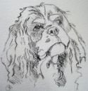 Commission - Bengi - 2011