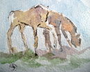 Prehistoric Series - New Forest Foals - 2012