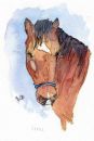 Jigsaw series - Bertie the horse 2011