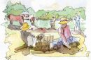 Jigsaw series - Picnic on the green 2011