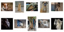 meine 10 Bilder/my final panel