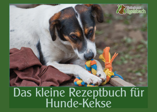 Rezeptbuch für Hunde-Kekse
