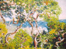 Bordigheira. Sold