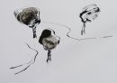 THREE IMAGES IN NATURE-2006