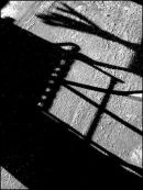 Deckchair and Flowers Shadow