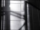 Escalator Cladding in Sunlight+1