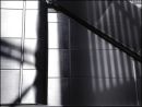 Escalator Cladding in Sunlight+2