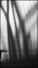 Shadows on Geosphere