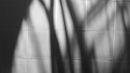 Shadows on Geosphere.