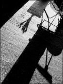 Deckchair with Flowers Shadow in Strong Sunlight.