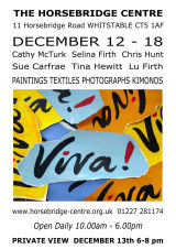VIVA exhibition Dec 12 - 18 2012