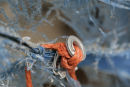 Orange and Blue