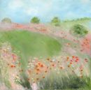 Pathway through the poppy field
