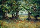 The Beech Hedge SOLD