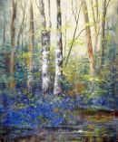 Bluebells & Birches