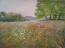 Devon Meadow   SOLD