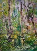 In the Forest