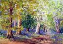 New Forest Bluebells SOLD