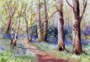 Bluebell Time in Silk Wood SOLD
