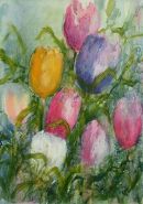 Tulips