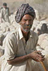 Shepherd Rajesthan
