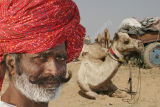 Camel Trader Pushkar