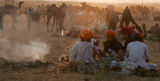 Early Evening Pushkar