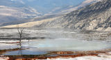 Mammoth Hot Springs Upper Terrace