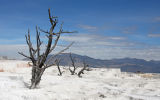 Mammoth Hot Springs Upper Terrace
