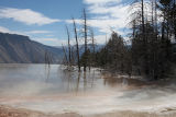 Upper Terrace Mammoth Hot Springs