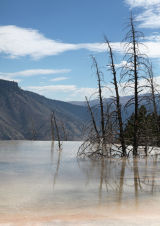 Upper Terrace Mammoth Hot Springs