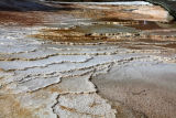 Mammoth Hot Springs Upper Terrace