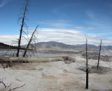 Upper Terraces Mammoth Hot Springs
