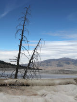 Mammoth Hot Springs Upper Terrace