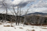 Mammoth Hot Springs Lower Terrace