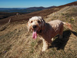 Jac on holiday