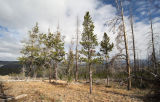 Below Mount Washburn