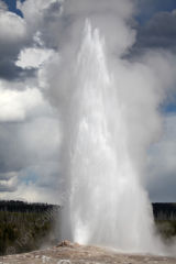 Old Faithful