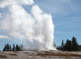 Old Faithful Yellowstone