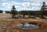 Reflection at Old Faithful
