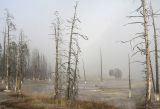 Mist At Biscuit Basin