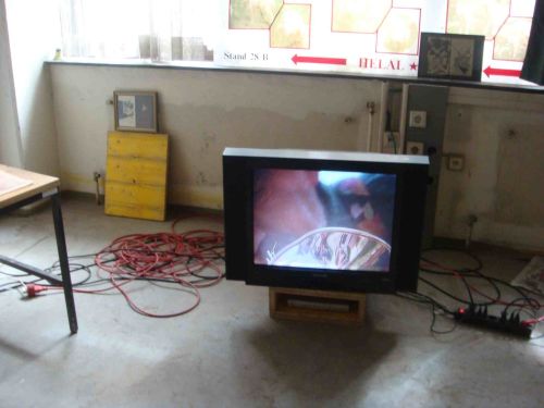 installation view, Breathless, Vienna, 2009