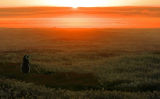 Magellanic Sunrise