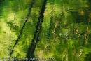 River Teifi, Ceredigion