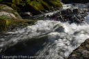 Cenarth Falls