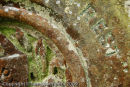Gravestone at St Thomas a Becket church, Haverfordwest