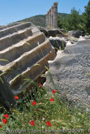 Priene, Roman ruins, Turkey