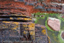Rockpool, Manorbier
