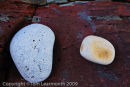 Rocks, Manorbier, Pembrokeshire