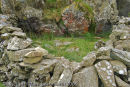 Sheepfold, Preseli Hills